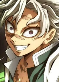 Sanemi Shinazugawa Sanemi Shinazugawa